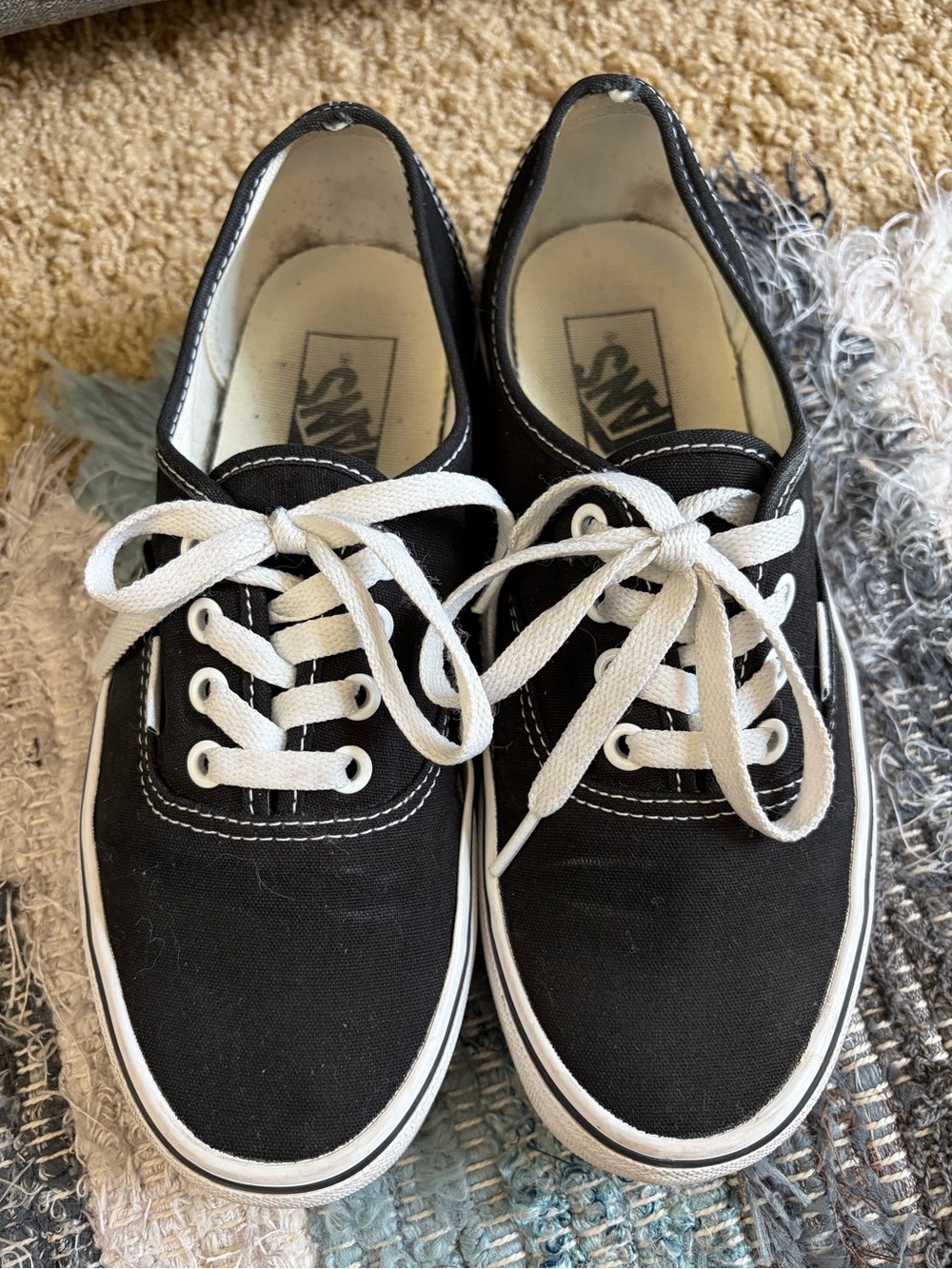 Vans Black Canvas Low-Top Sneakers with White Laces